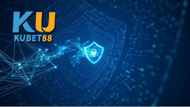 Cách thức thu thập và xử lý dữ liệu tại Ku88